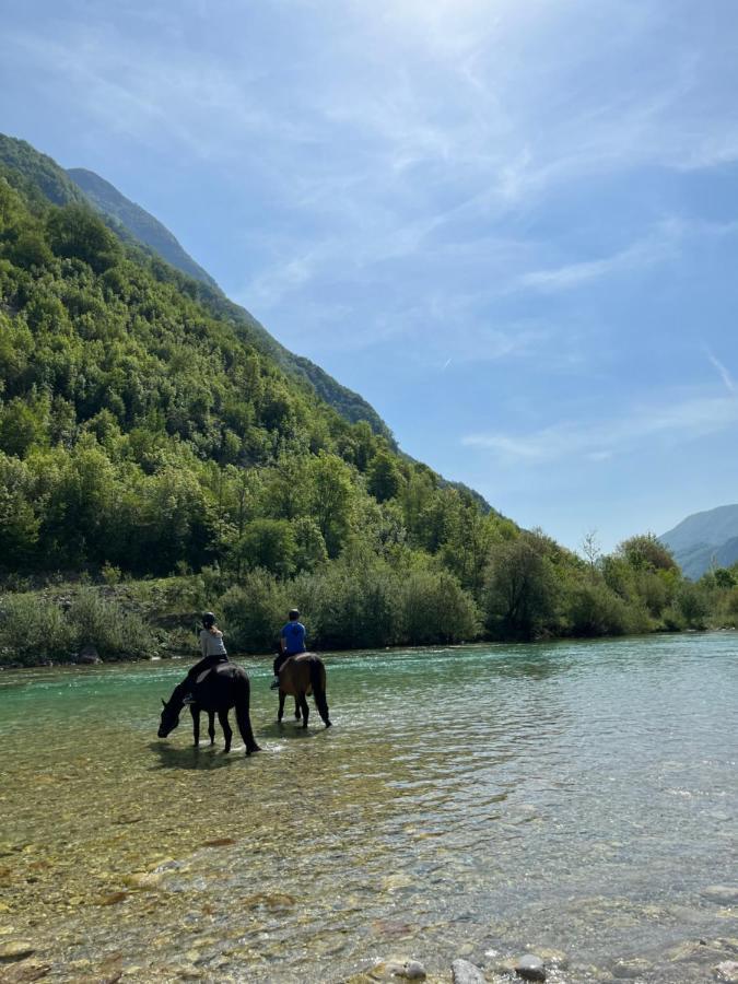 Apartment Baban In Zaga, Slovenia מראה חיצוני תמונה